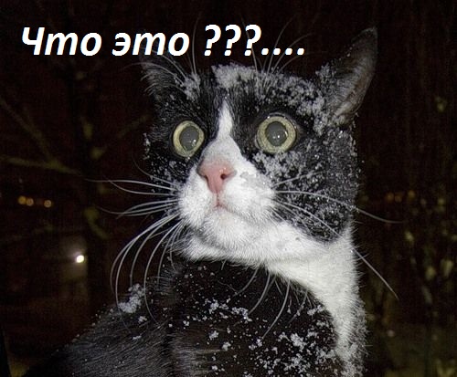 Чудики из социальных сетей