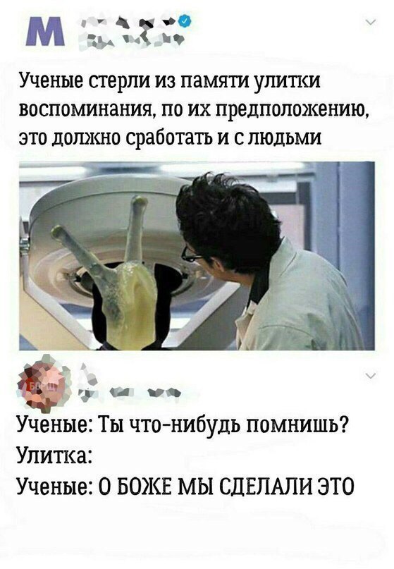 Немного черного юмора в пятницу