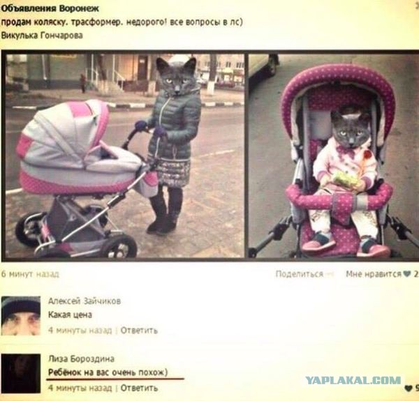 Если муж очень не красив