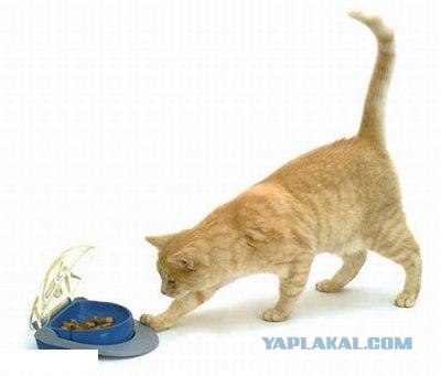 Угадайки