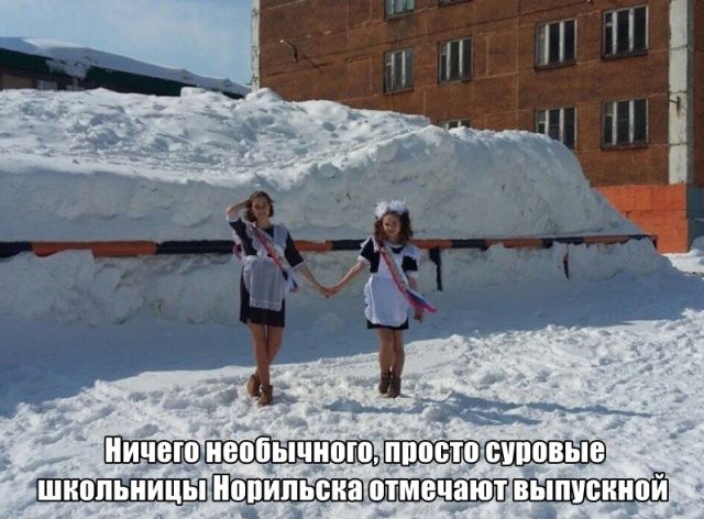 Картинки разные, хорошие и не очень