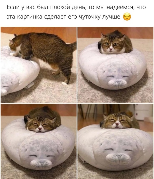 Немного картинок для настроения 27.05.20