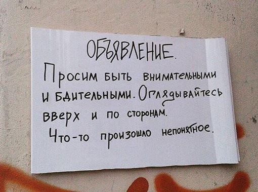 Чешуйчатые фрисби: ученые выяснили, как тропические змеи умудряются летать на 20 метров