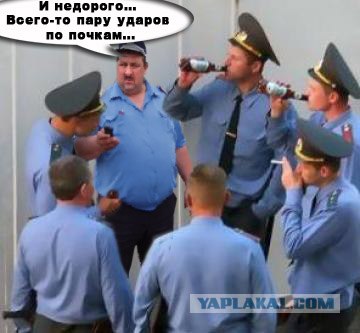 Фотожаба:На связи