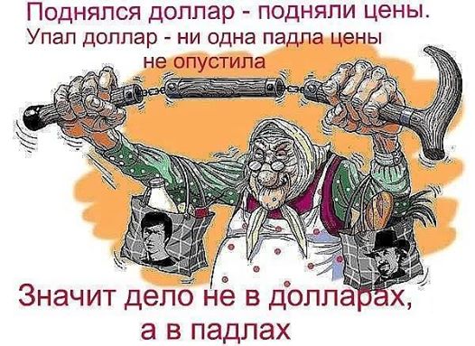 Боянистые картинки 19.12.20