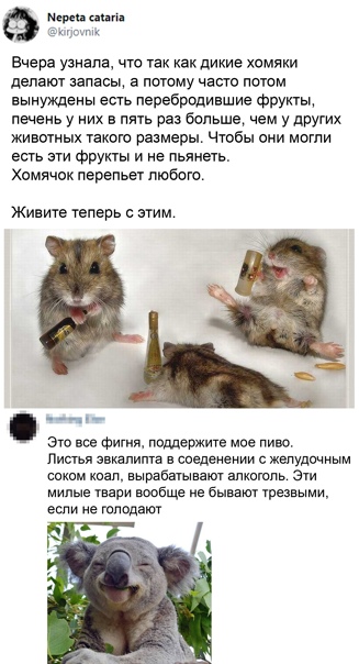 Картинки и мемы для настроения 003