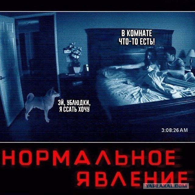 Разной степени баянности пикчи