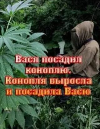 Так себе юмор 2021.07.08