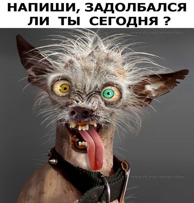 Баянисто-небаянистый юмор 29.10.21