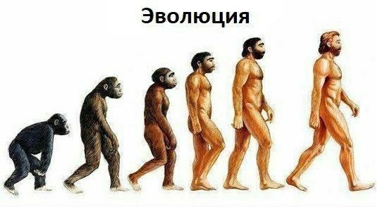 Ночные хулиганы