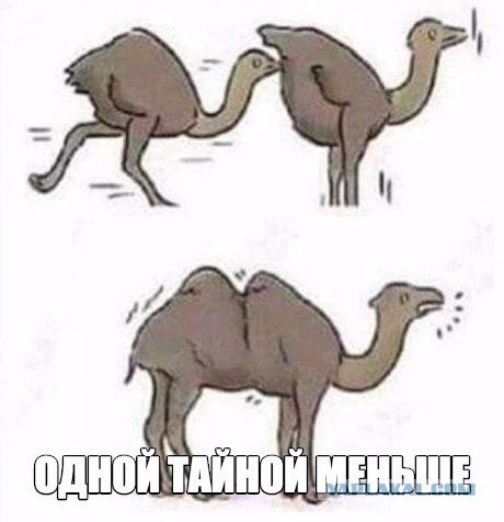 В пятницу чуть-чуть, уж точно можно деграднуть!