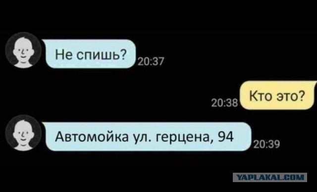 Забавные и веселые картинки