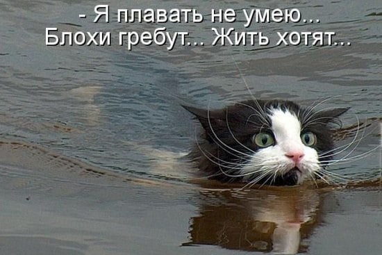 Мужчину осудили за унижение чести и достоинства РСП