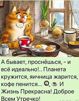 Прикольные и просто красивые картинки 06.12.2022