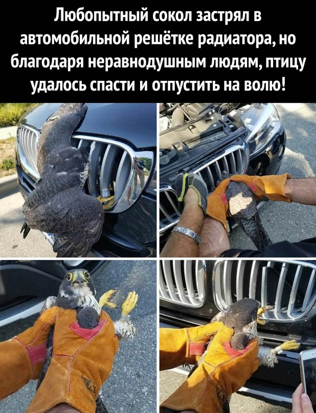 Картинки и мемы для настроения - 125