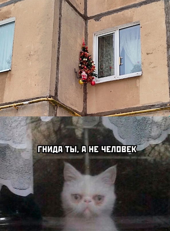 Картинки и мемы для настроения - 125