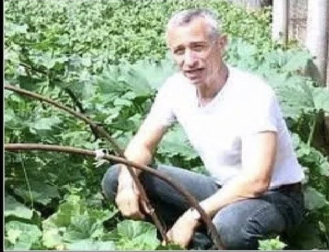 А что случилось с нашей медициной?