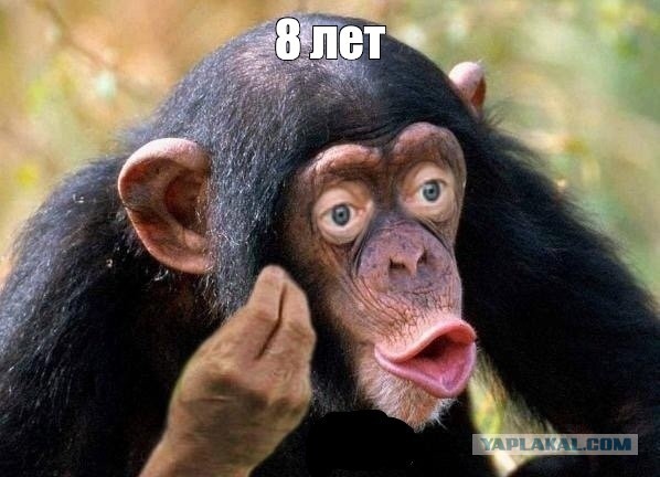 Зеленский: конфликт завершится, когда войска России покинут территорию Украины
