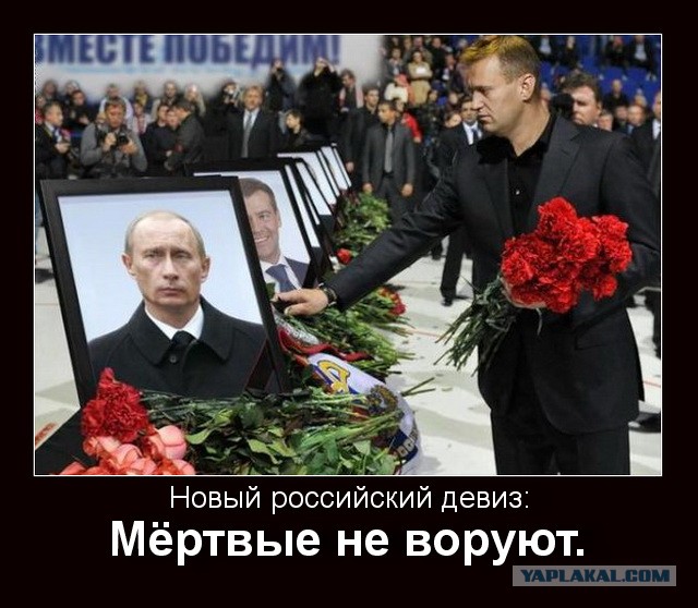 Фото на документы