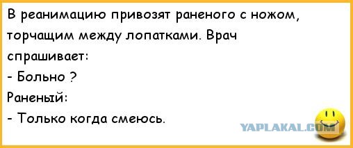 Чудо, мимо которого я не смог пройти мимо