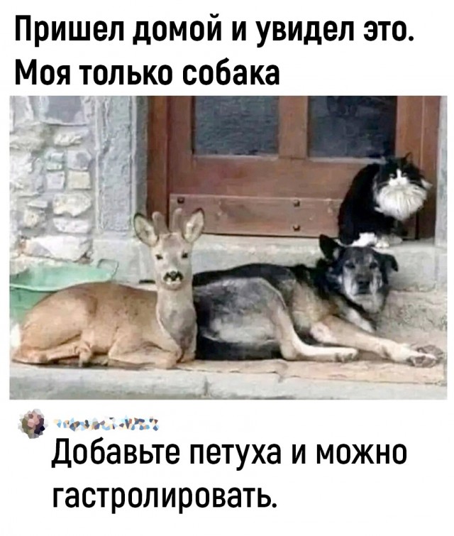 Так себе картинки 28.05.24