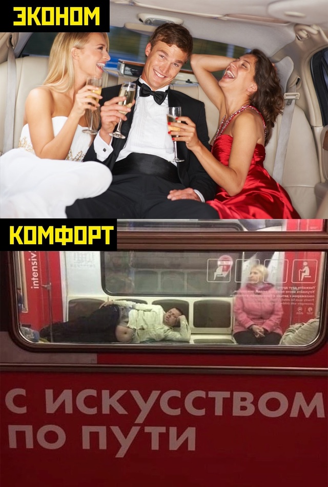 Весёлый полтишок 06.11.24