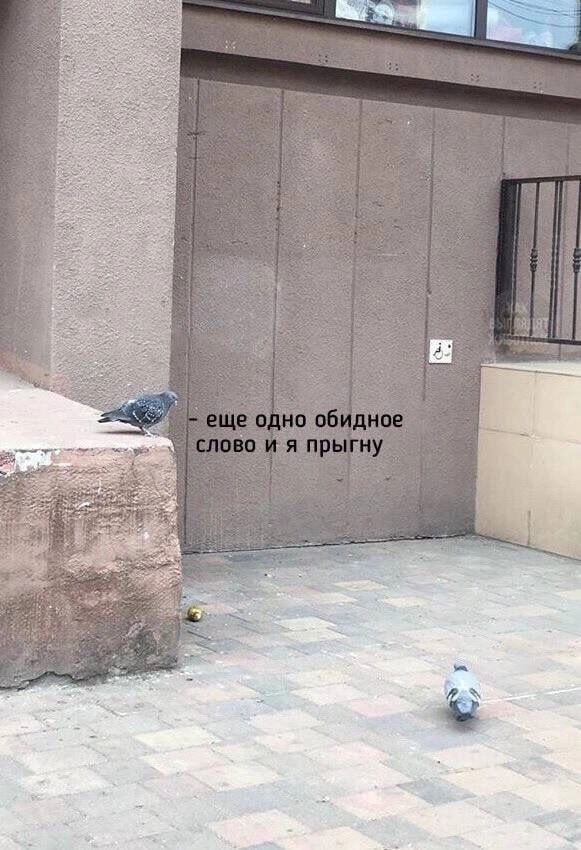 Так себе картинки 03.12.24