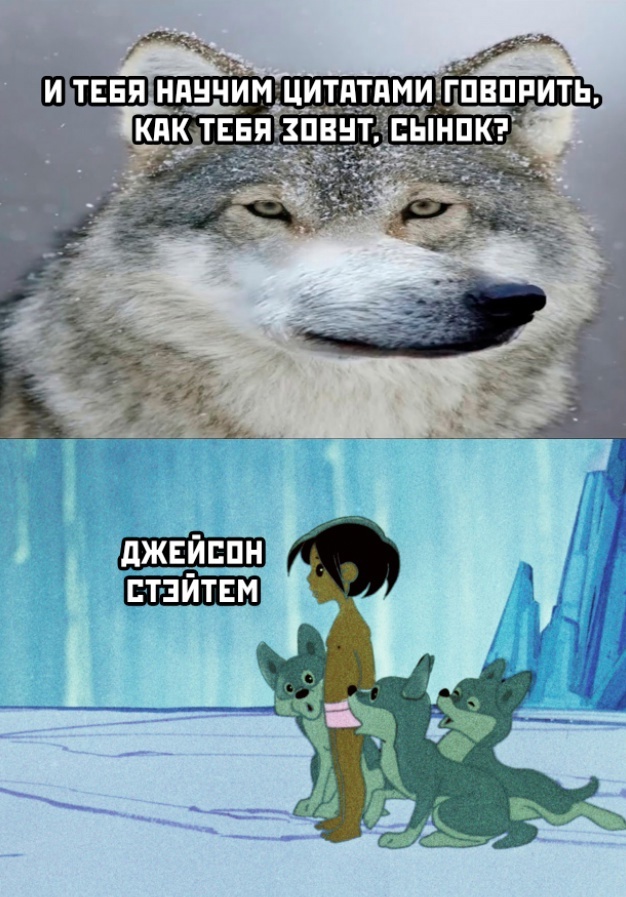 Весёлый полтишок 23.01.25