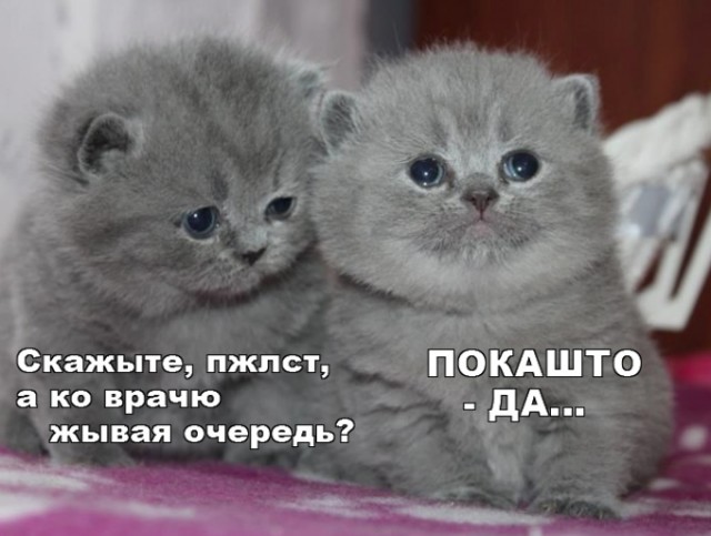 Нуштош 06.05.2025. Старая реальность (s3e12)