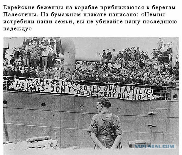 Актриса Мириам Маргулис