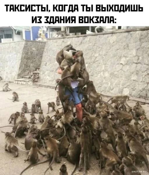 Картинки для деградации 10 (разной степени свежести)