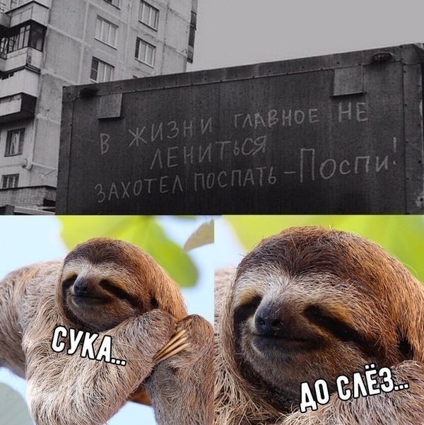 Картинки , вторник 14-е