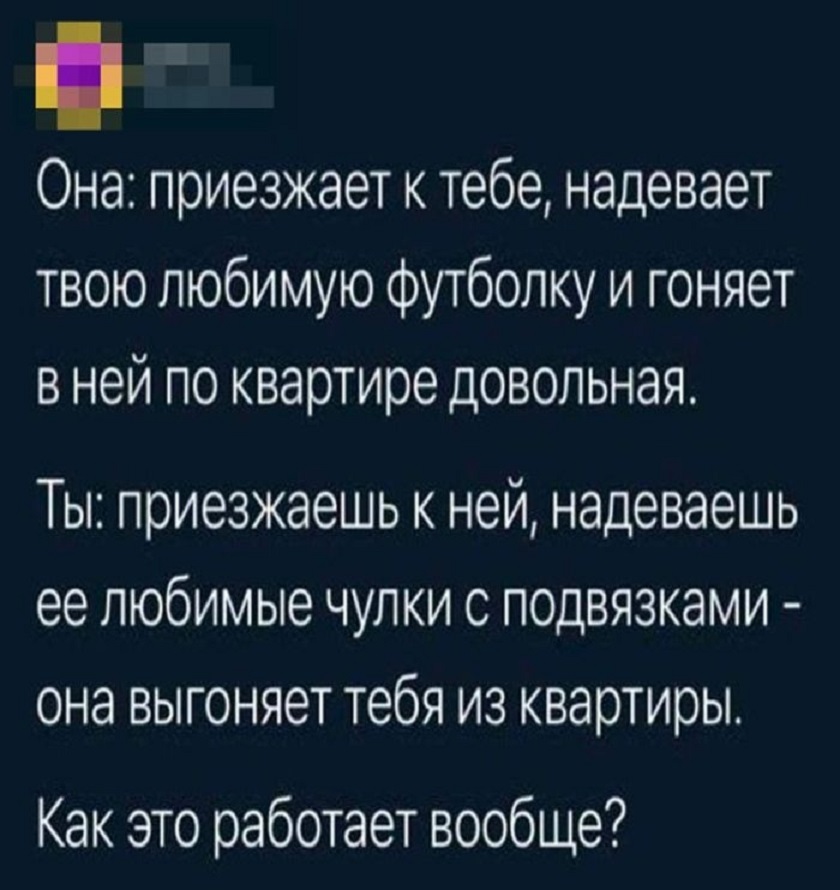 20510491.jpg