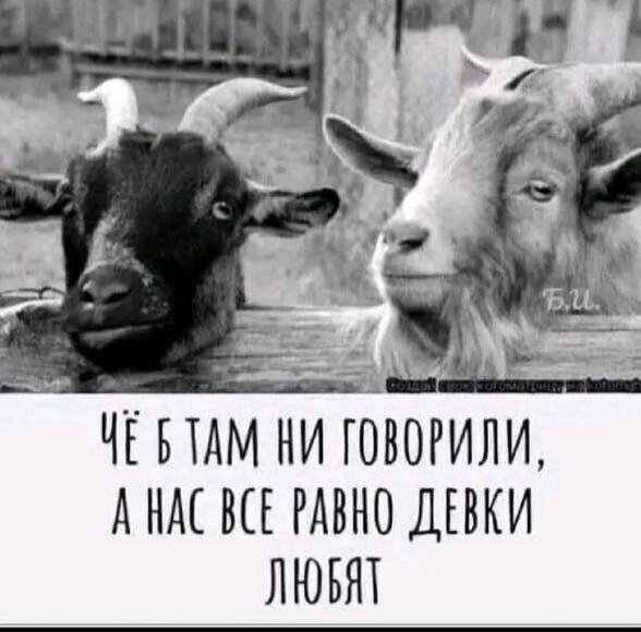 Забавные и не очень скромные картинки - 21