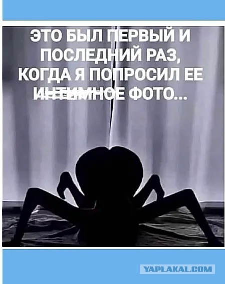 Понедельника картинки