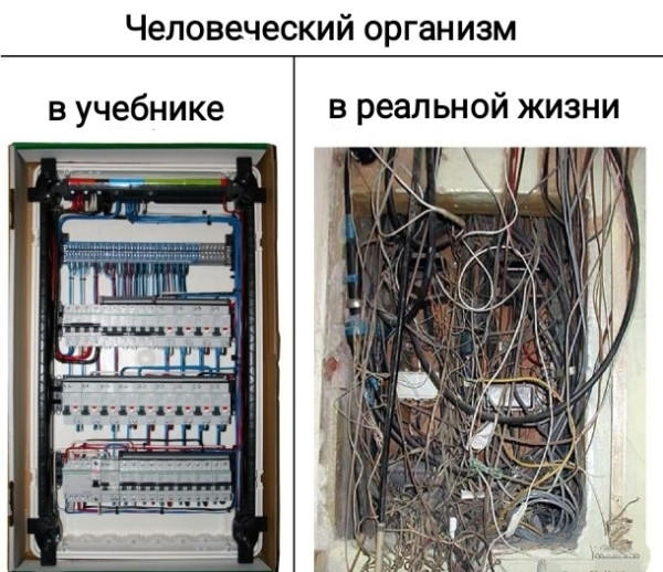 Ударим по баянам ?‍↔️