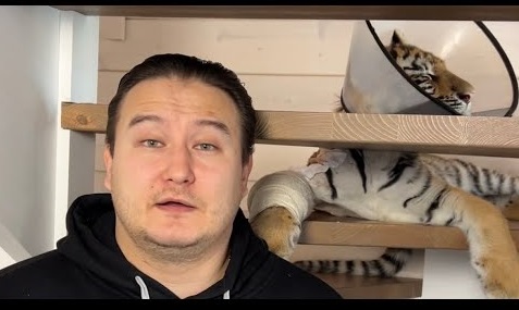 Фильм,, Красавица "