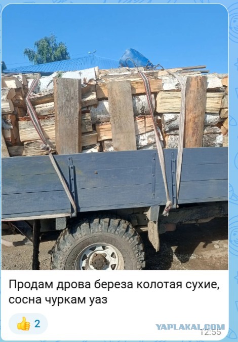 Медведи по улицам?