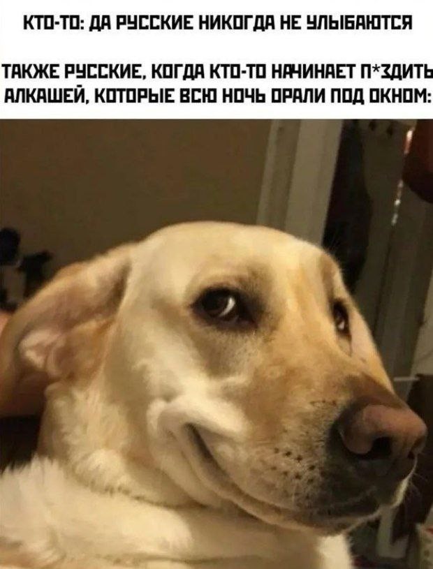 Картинки для деградации 261 (разной степени свежести)