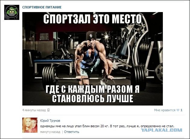 Смешные комментарии из социальных сетей