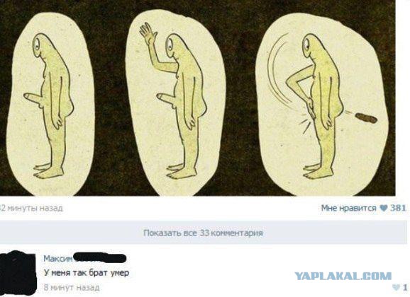 Веселые картинки? а так же комментарии)