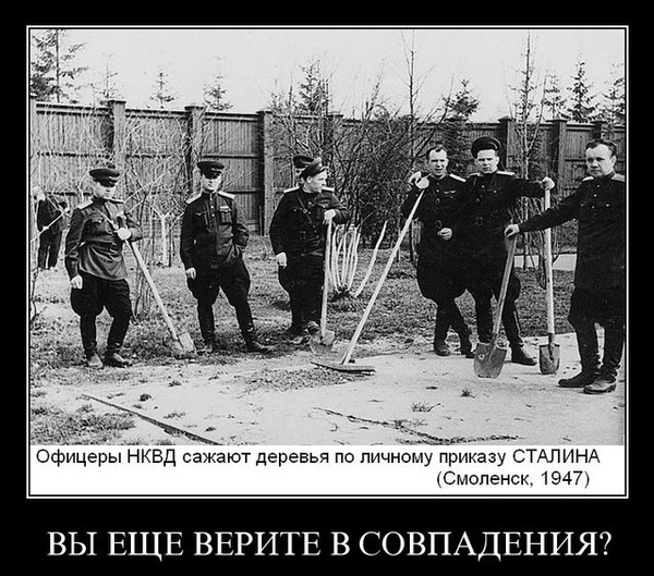 Поляки и День Победы
