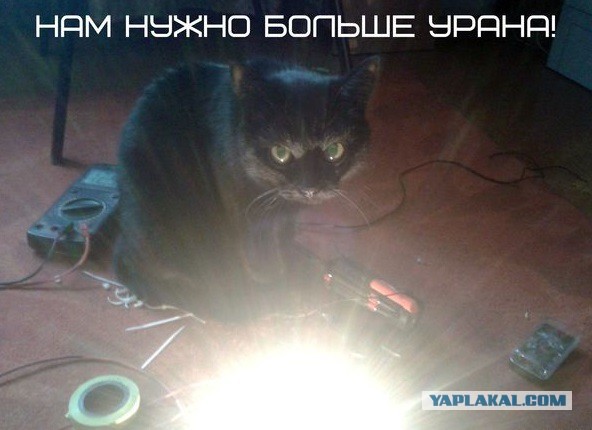 Цеховой нектон