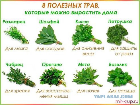 Первая рыбалка в этом году.