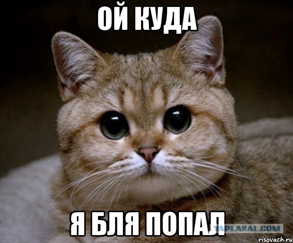 А мне не больно!