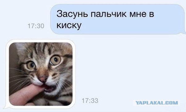 Свежие картинки из сети