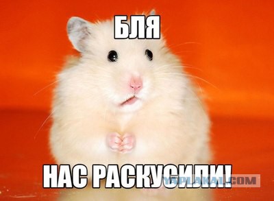 Украинским военным угрожает Чебурашка