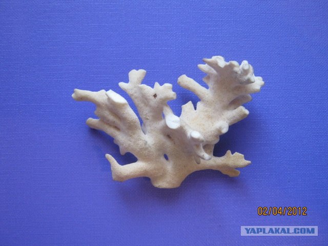 Каменная летопись