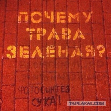 Хроники соцсетей