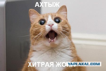 Бизнес идея!